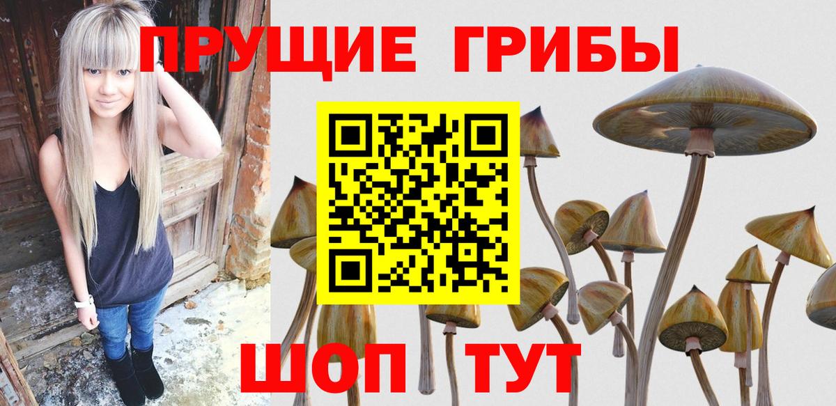 Псилоцибиновые грибы мицелий  Вход с VPN  Рузаевка  Галлюциногенные грибы мухоморы 